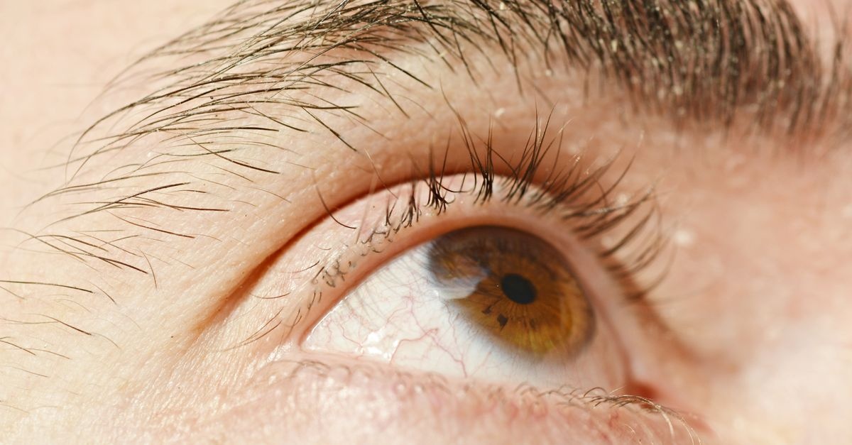 Sopracciglia rade? I rimedi più efficaci per infoltirle e ridare definizione allo sguardo